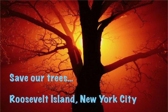 Trees: A Refresher for Roosevelt Island Trees: A Refresher for Roosevelt Island